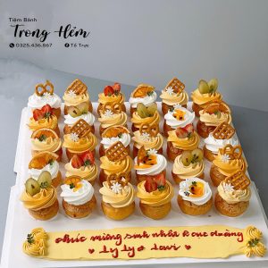 Bánh Su Kem Vỏ Giòn Tổng Hợp 22.1