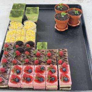 Cupcake Tổng Hợp 5.6